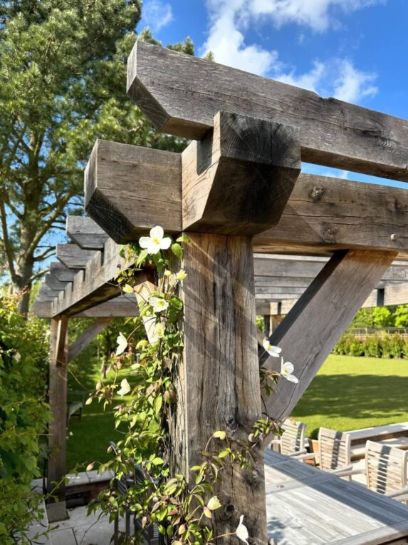 Oak framed pergola